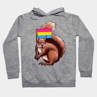 Squirrel with a Pan Flag Hoodie